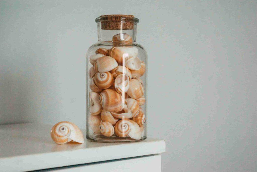 Seashell-Embellished Glass Bottles