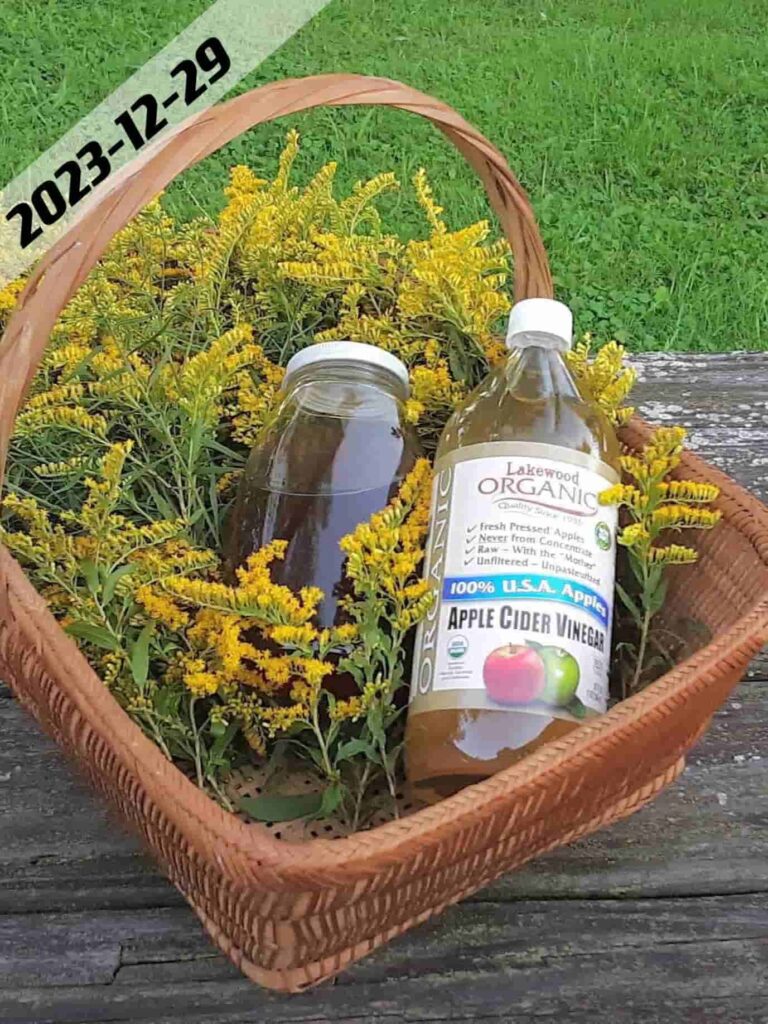 apple cider vinegar in glass bottle