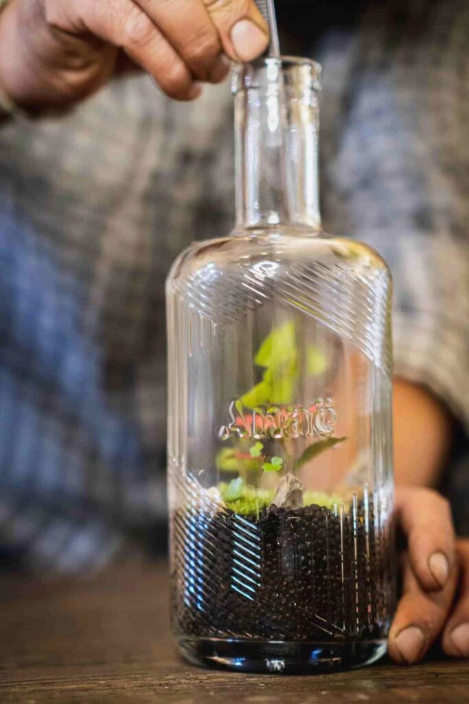 planter in glass bottle