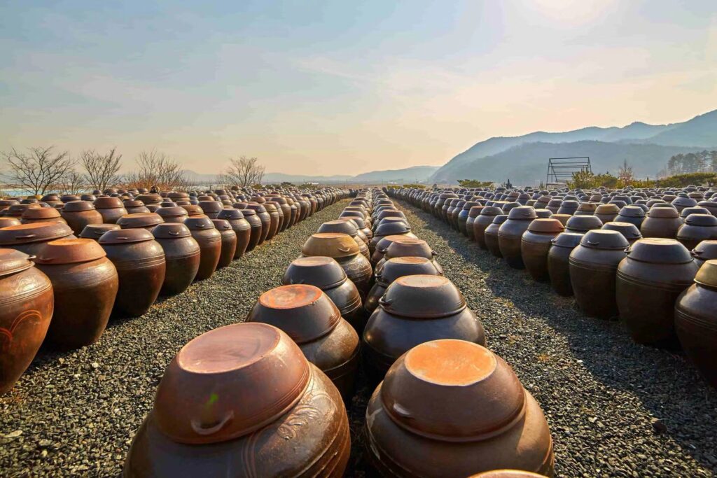 big ceramic pots for fermentation