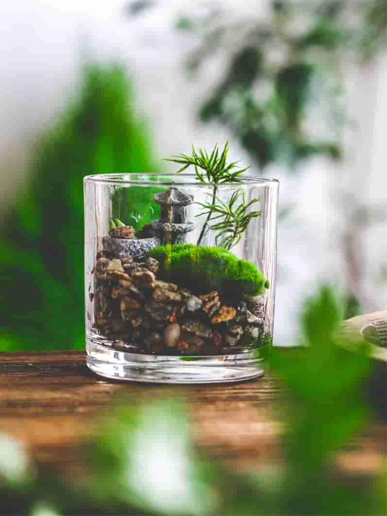 reuse glass candle jar for succulents or small plants